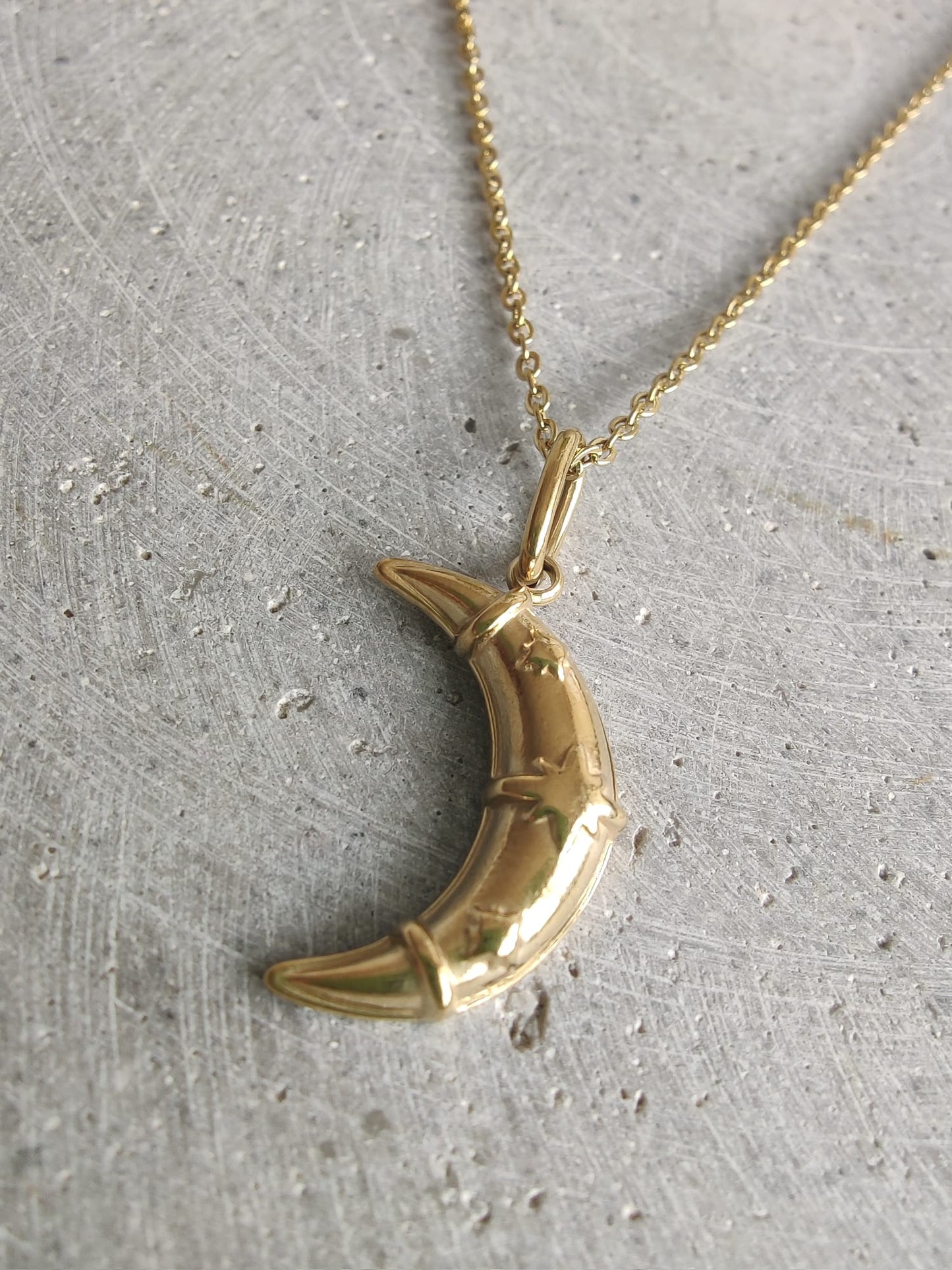 Moon With Star Detail Gold Tone Stainless Steel Necklace