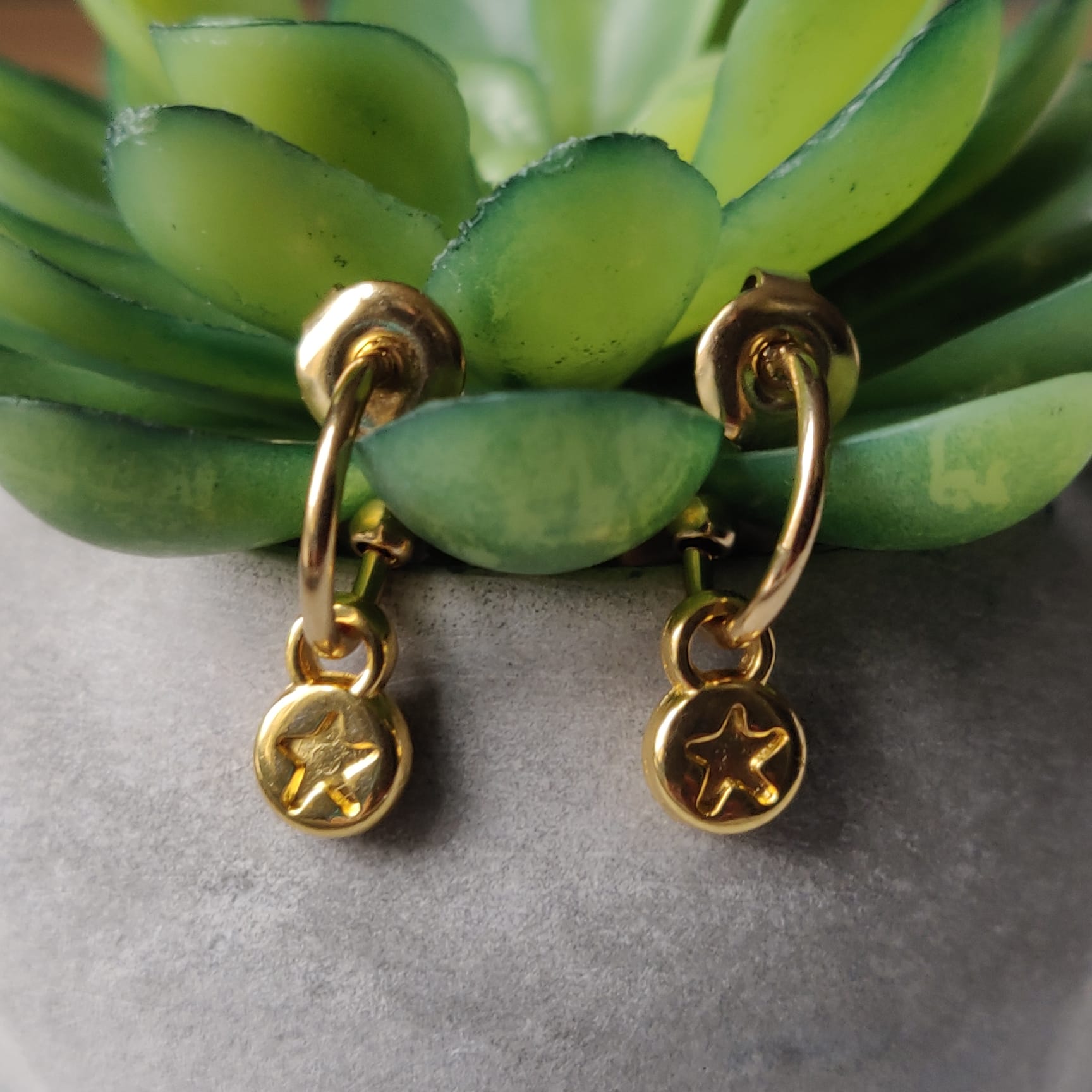 Star Dangle Earrings Gold Finish Stainless Steel