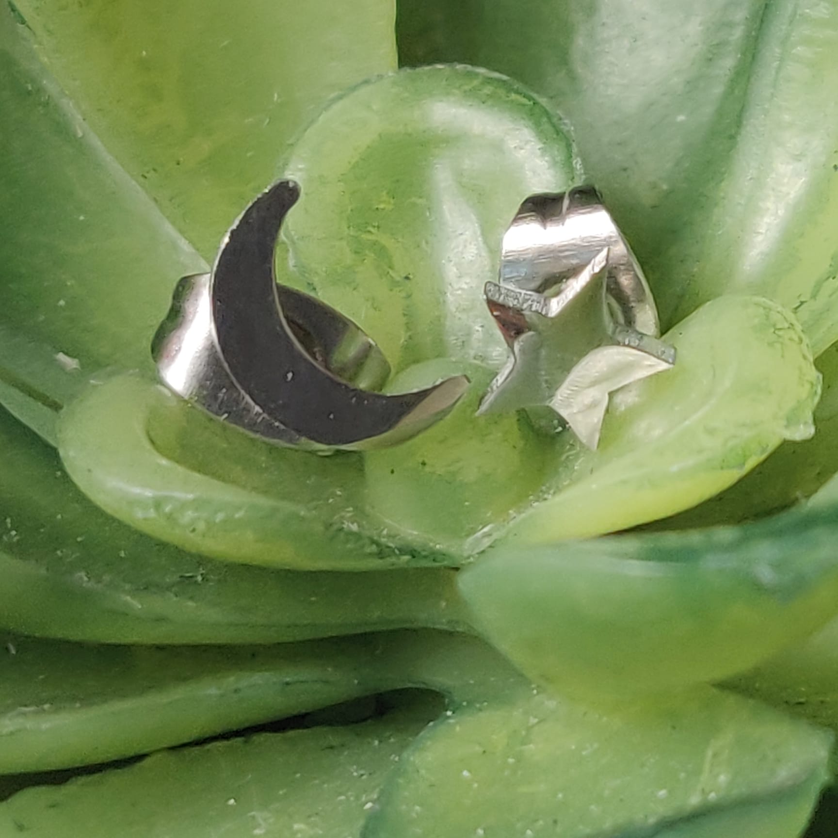 Moon & Star Stainless Steel Stud Earrings