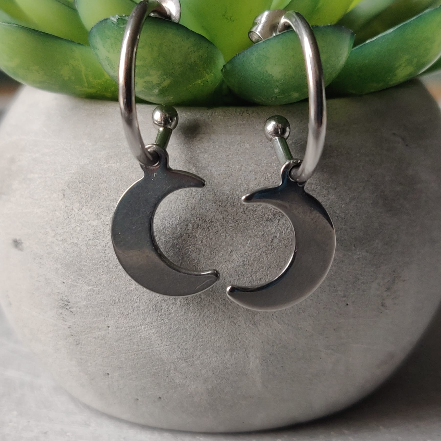 Moon Stainless Steel Earrings