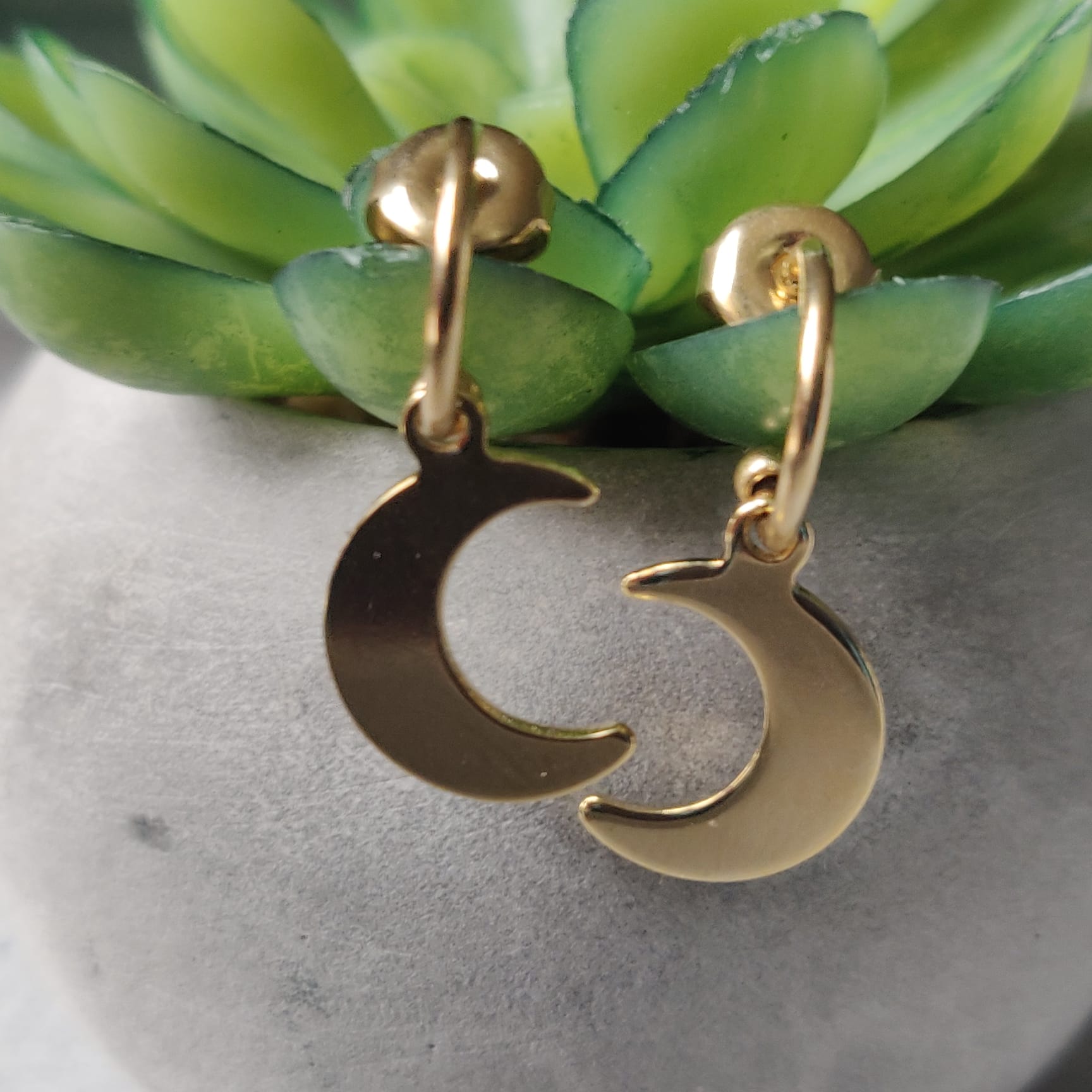 Moon Charm Gold Tone Stainless Steel Earrings