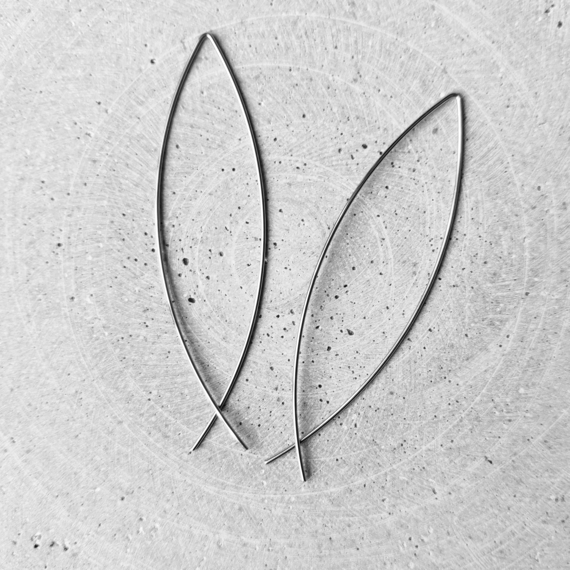 Fish Hook Stainless Steel Earrings